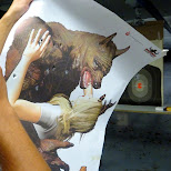 werewolf demolished in North Tonawanda, New York, United States