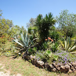 DSC00986.JPG