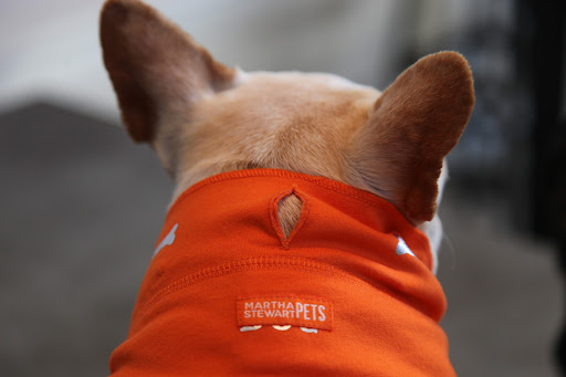 And speaking of leashes, you can slide these bandanas onto collars and put the leash through this opening, so one doesn't have to take off the bandana during walks!
