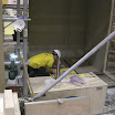 CIMG5920.JPG