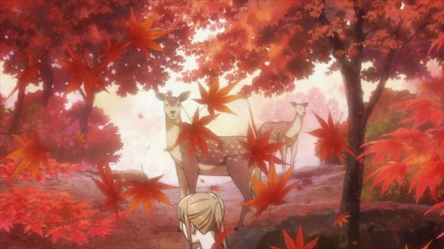 [Chihayafuru%25202%2520-%252017%2520-%2520Large%252011%255B2%255D.jpg]