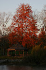 Gazebo and red leaves