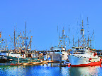 Sprachaufenthalt San Diego