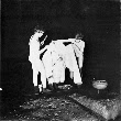Maxine Sanders In Ritual 3