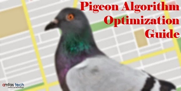 pigeon-update-optimization