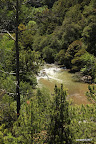 The creek below us