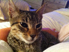 FLOYD felizmente adoptado