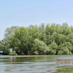 IMG_7704.JPG