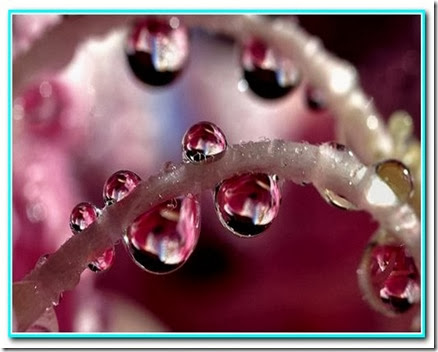 Gotas de mudanças Gotas de mudanças