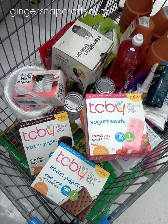 [tcby-yogurt-shopping-trip.jpg]