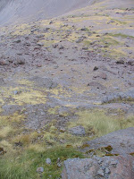 IMG_5523.JPG Photo