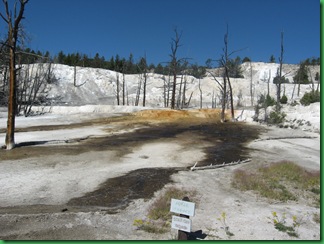 Mammoth Hot Springs Terraces (85)