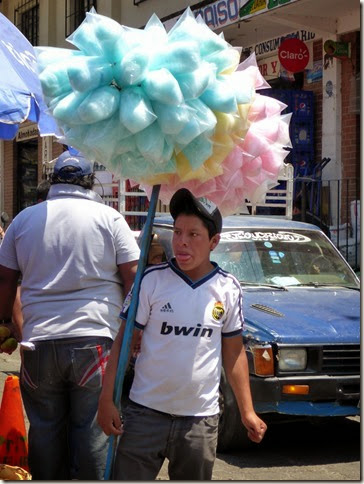 P1030597 P1030597