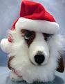 [basset%2520hounds%255B2%255D.jpg]