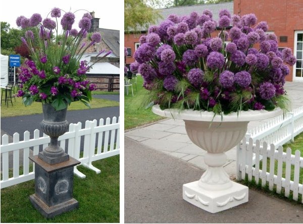 [Musselburgh%2520Racecourse%2520-%2520Planet%2520Flowers%2520-%2520Edinburgh%2520Cup%2520%25282%2529%2520alliums%255B5%255D.jpg]