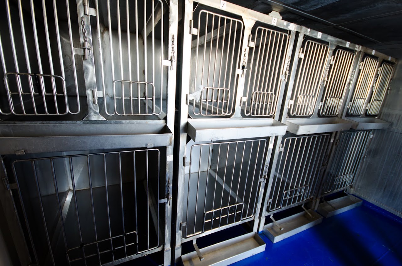 Kennels Cap Finistere