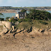 Fort du Guesclin