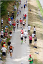 Roth_2010_310.jpg