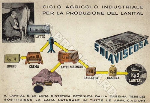 Ciclo agricolo-industriale per produrre lanital