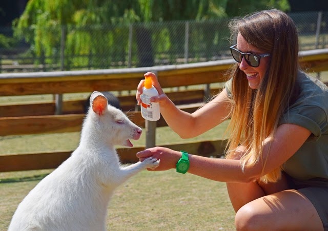 [mynews_sun_cream_04%2520%25285%2529%255B3%255D.jpg]