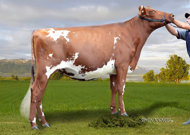 Eagle Park Landover Clarie ET.jpg