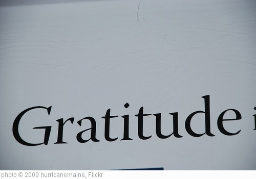 'gratitude' photo (c) 2009, hurricanemaine - license: http://creativecommons.org/licenses/by/2.0/