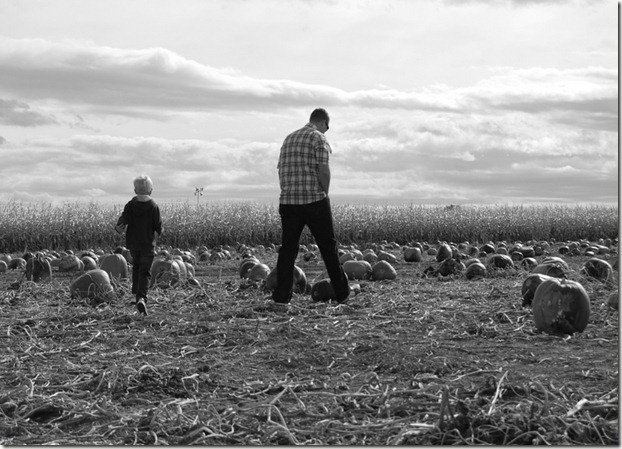 DSC_0061 DSC_0061
