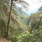 DSC04185.JPG