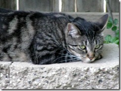 IMG_0027 IMG_0027