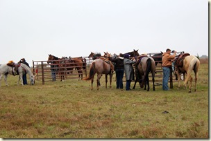 IMG_4502 IMG_4502