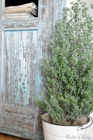 [blue%2520cabinet%2520with%2520sage%255B6%255D.jpg]