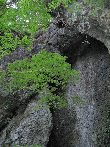 岩舟の滝