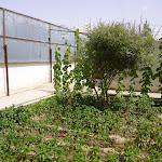 P1000137.JPG