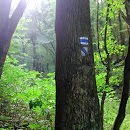 DSC_0315.JPG