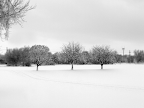 IMG_1182.png