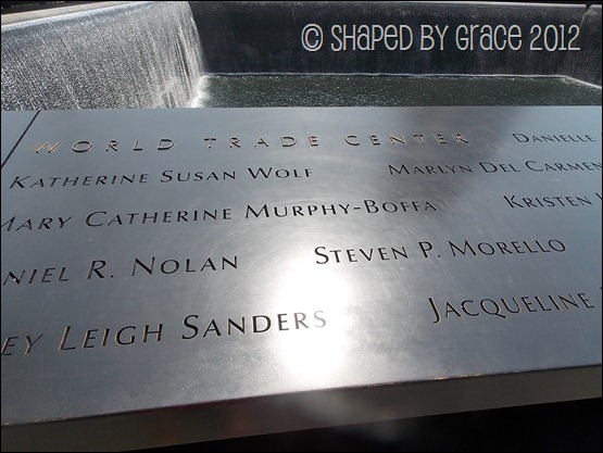 WTC11 WTC11