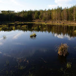 DSC05162.jpg