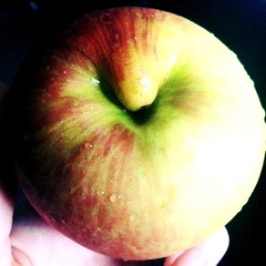 apple apple