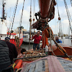 IMG_2242.JPG