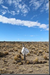 IMG_1737 IMG_1737