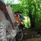 IMG_6282.JPG