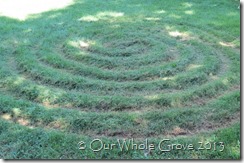 mottled tree shadow spiral