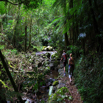Bronwen & Clint walking the Coomera Circuit