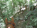 trail 481A