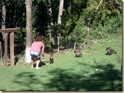 IMG_0425 IMG_0425