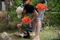 Puppy!