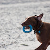 _MG_7608.jpg