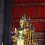 IMG_4386.JPG