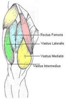 quads quads