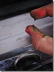 IMG_7981 IMG_7981